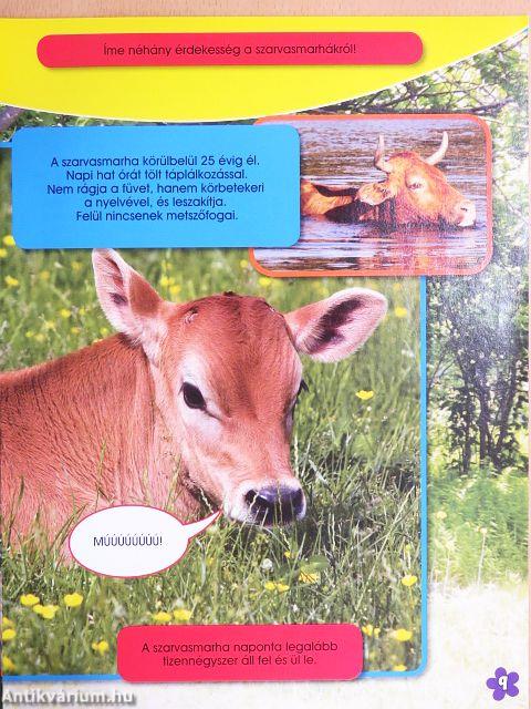 Micimackó magazin 2009/09.