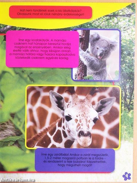 Micimackó magazin 2009/12.