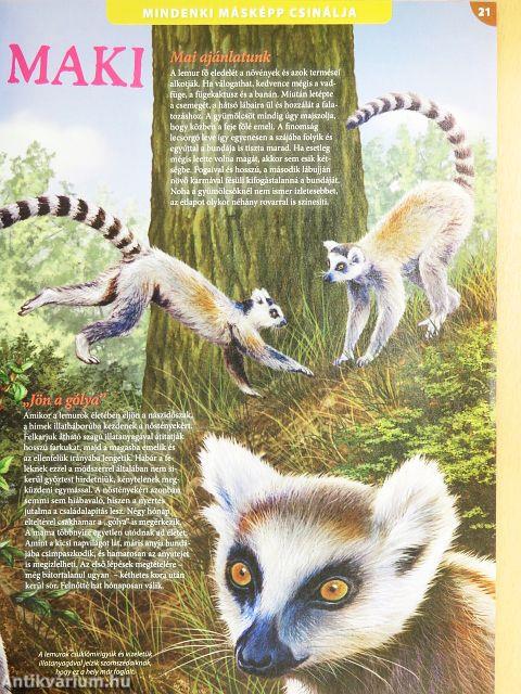 Tudorka Magazin 134.