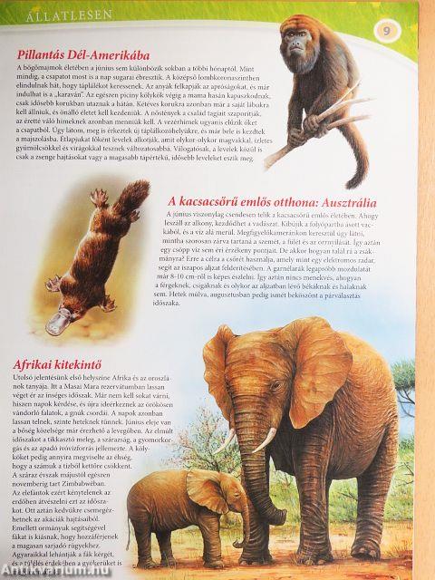 Tudorka Magazin 125.