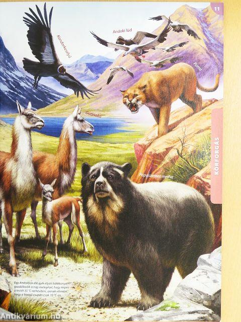 Tudorka Magazin 135.