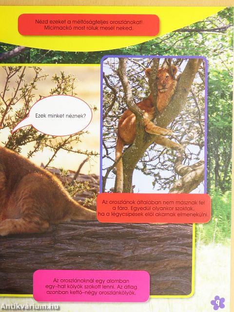 Micimackó magazin 2010/1.