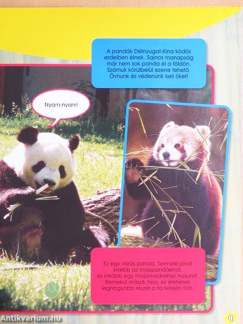 Micimackó magazin 2010/4.