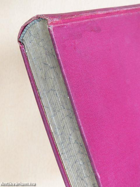 Erzsébet dajka és más cselédek/A dada