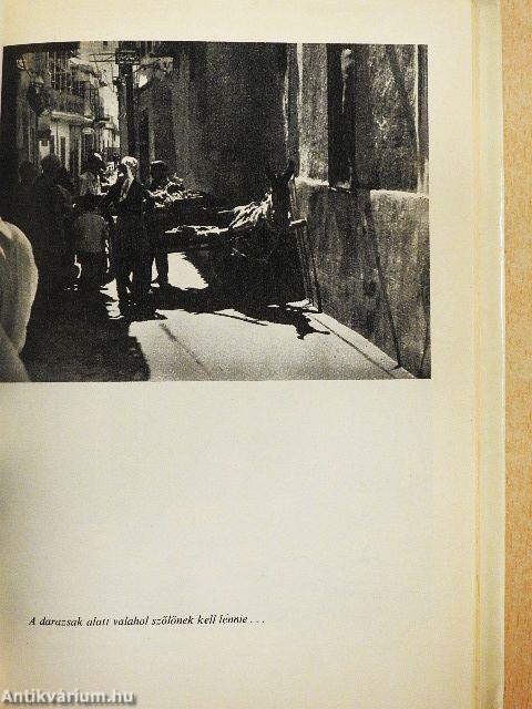 Legyen az egyik feleségem