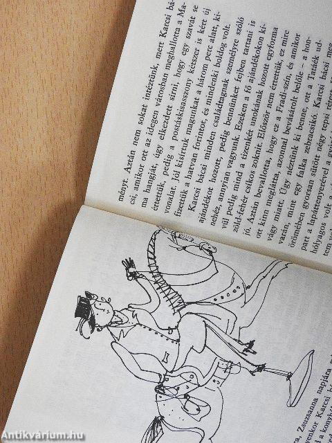 Intőkönyvem története