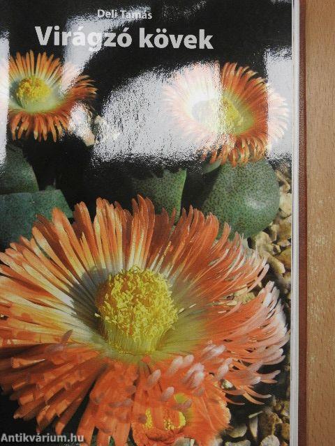 Arizona Cactus/Kaktusz-világ 2005. január-december/Kaktusy 2002/2./Bonsai magazin 1988. tavasz/Virágzó kövek/Kakteen und andere Sukkulenten Juni 2003/Kaktusz-világ 1988. 1-2., 4./Dísznövény 2003