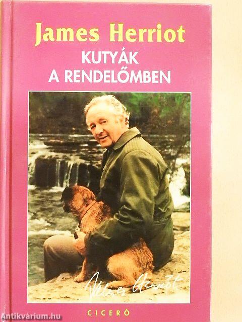 Kutyák a rendelőmben