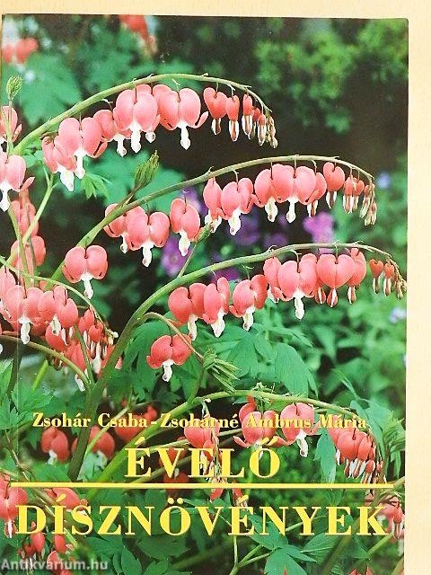 Évelő dísznövények