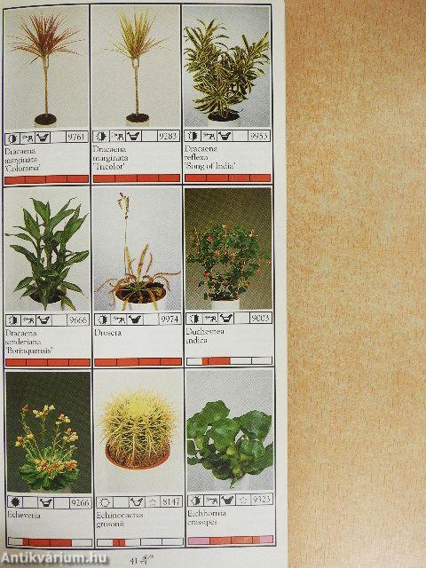 Potplanten/Pot Plants/Topfpflanzen/Plantes en pot/Piante da vaso/Planta en particular 1991/92