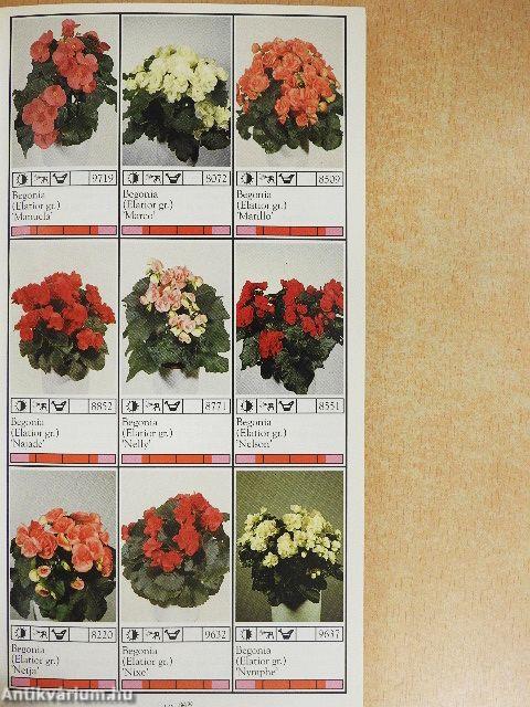 Potplanten/Pot Plants/Topfpflanzen/Plantes en pot/Piante da vaso/Planta en particular 1991/92