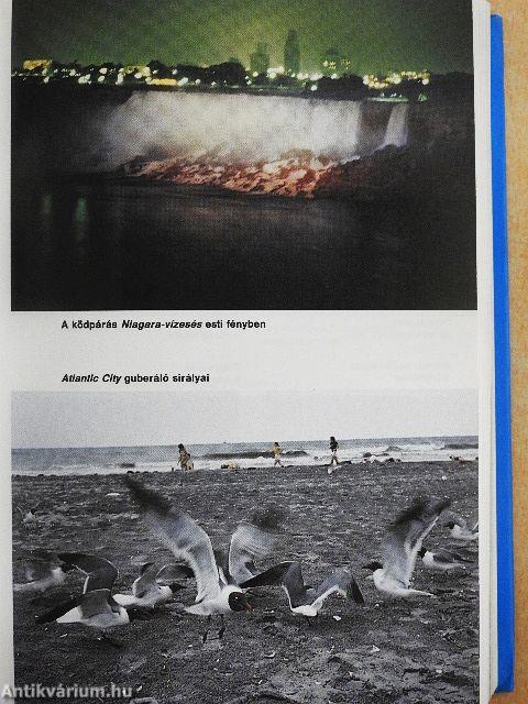 Amerikai Egyesült Államok