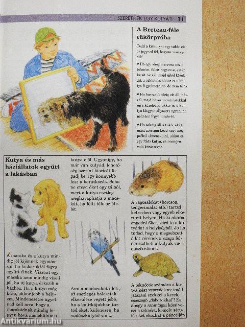 Szeretnék egy kutyát!