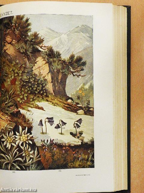 Révai nagy lexikona 9. (töredék)