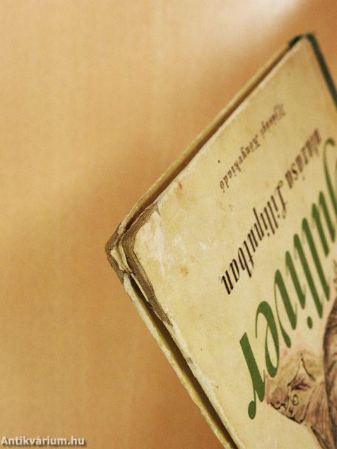 Gulliver utazása Lilliputban