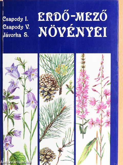 Erdő-mező növényei