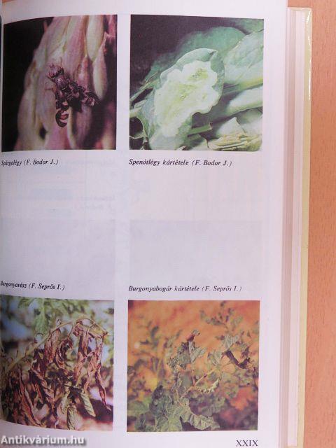 Növényvédelem a kiskertben