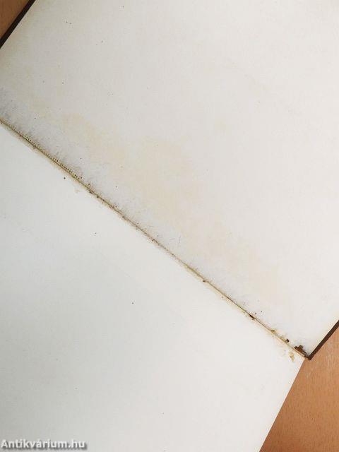 Az Egyesült Budapesti Fővárosi Takarékpénztár ötven éves története