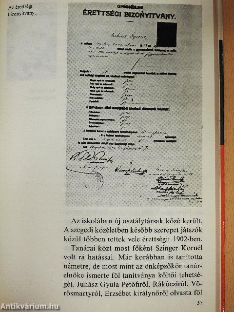 Így élt Juhász Gyula