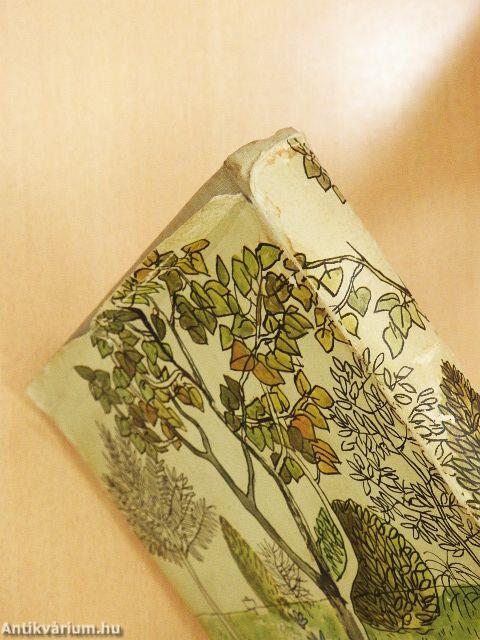 Légy jó mindhalálig