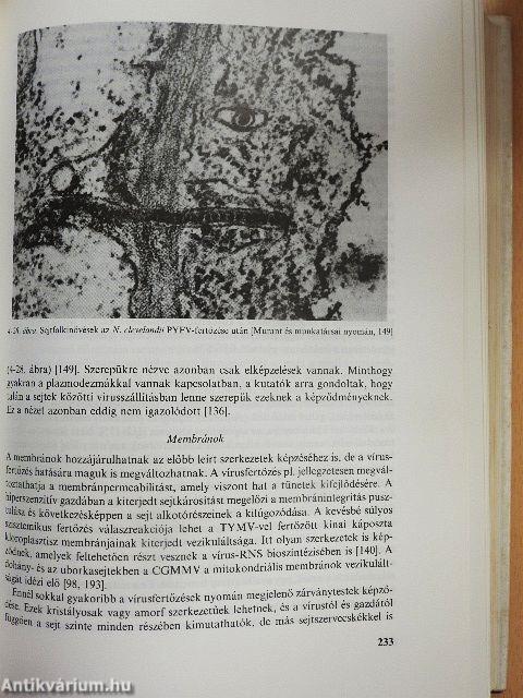 A beteg növény biokémiája és élettana