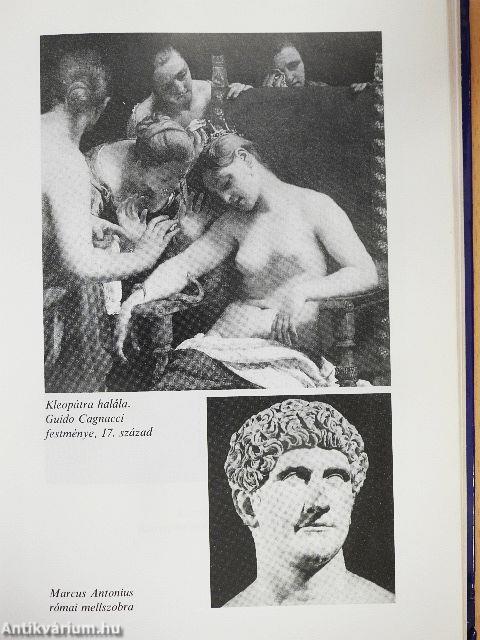 Erős asszonyok-gyönge férfiak