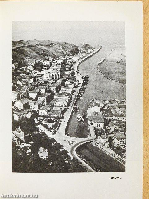 Favna Marina de la Costa Vasca