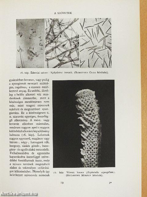 Az állat és élete I-II.