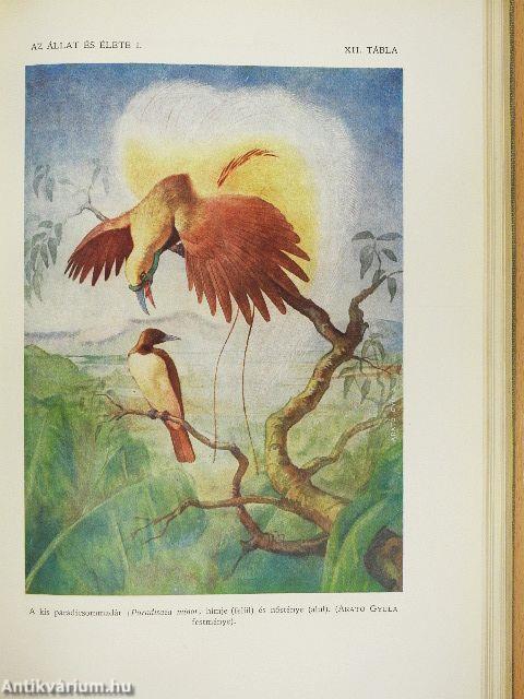 Az állat és élete I-II.