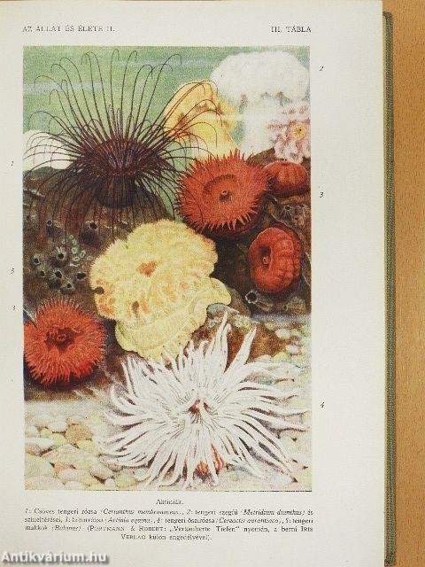 Az állat és élete I-II.