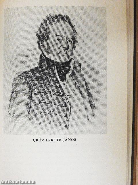 Aranka György erdélyi társaságai