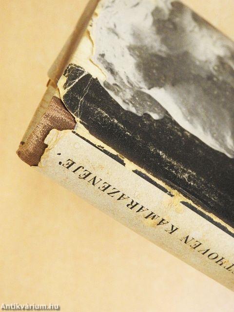 Beethoven kamarazenéje