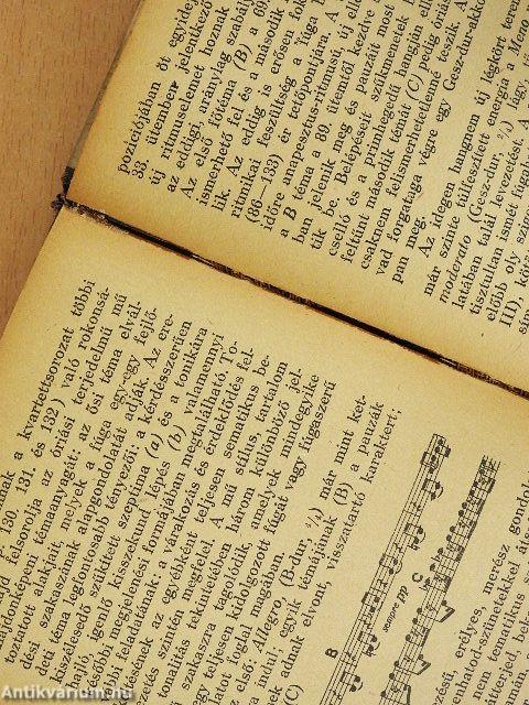 Beethoven kamarazenéje