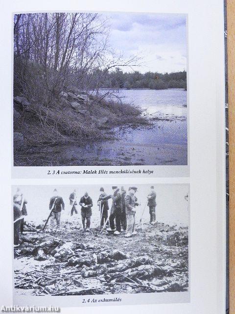 Bortól Szombathelyig