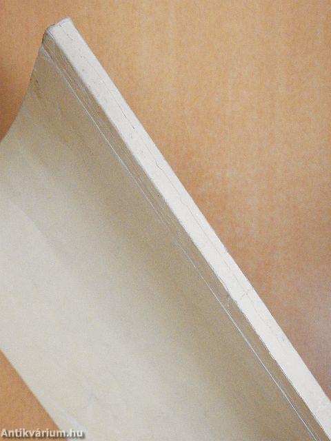 Magyar nyelvtan munkafüzet érettségizők számára I.