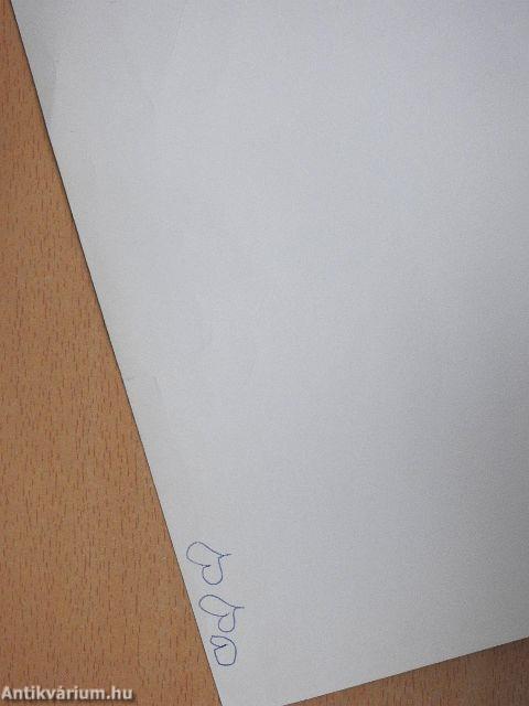 Magyar nyelvtan munkafüzet érettségizők számára I.