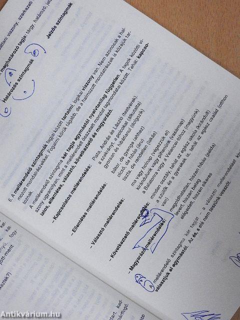 Magyar nyelvtan munkafüzet érettségizők számára I.