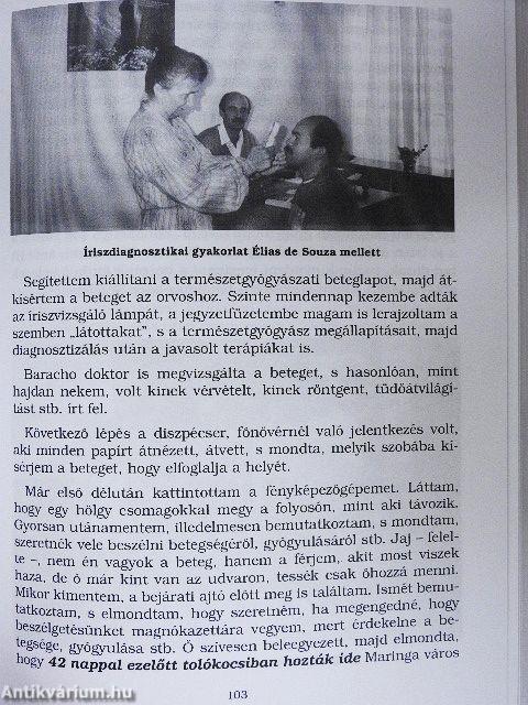 Táplálékod legyen gyógyítód!