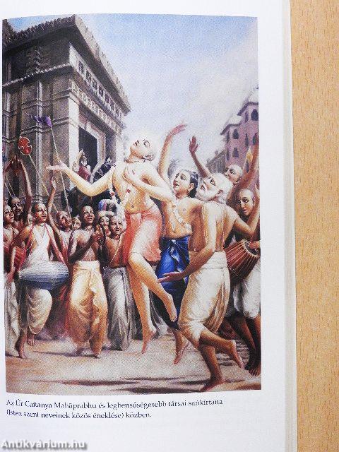 A tanítások nektárja