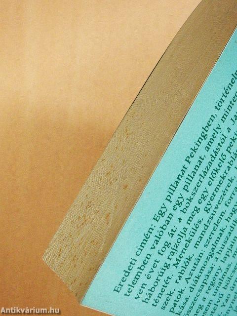 Egy múló pillanat I-II.