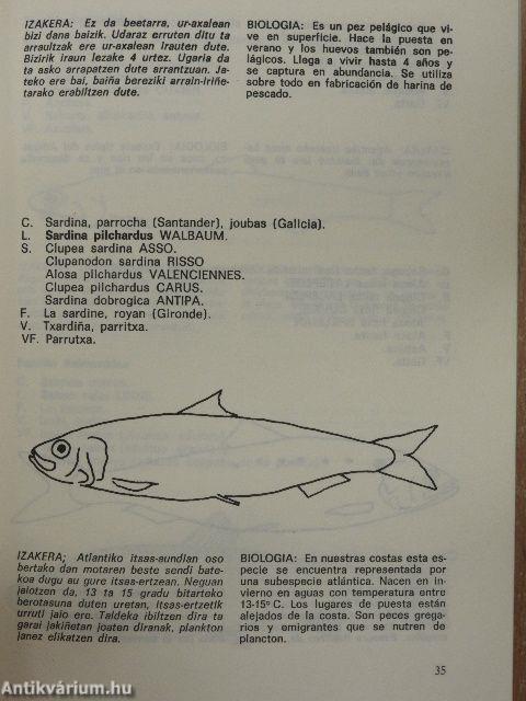 Favna Marina de la Costa Vasca