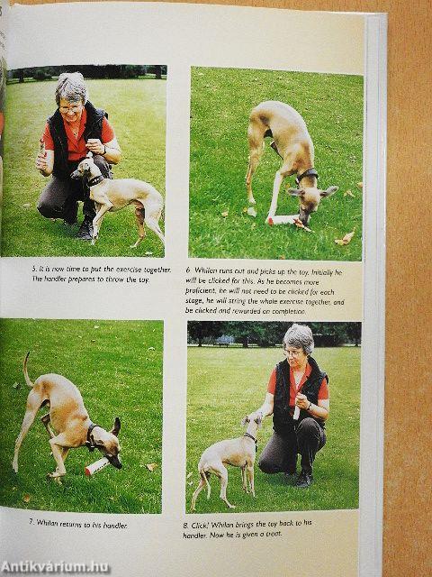 Clicker training for Dogs