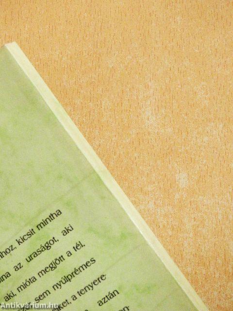 Miért jöttél utánam, királykisasszony?