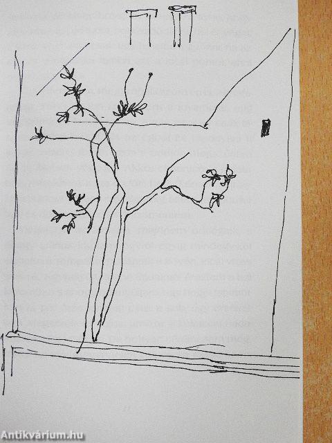 Miért jöttél utánam, királykisasszony?