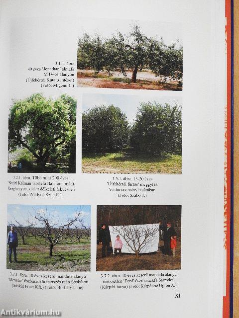 Gyümölcsösök termőhelye