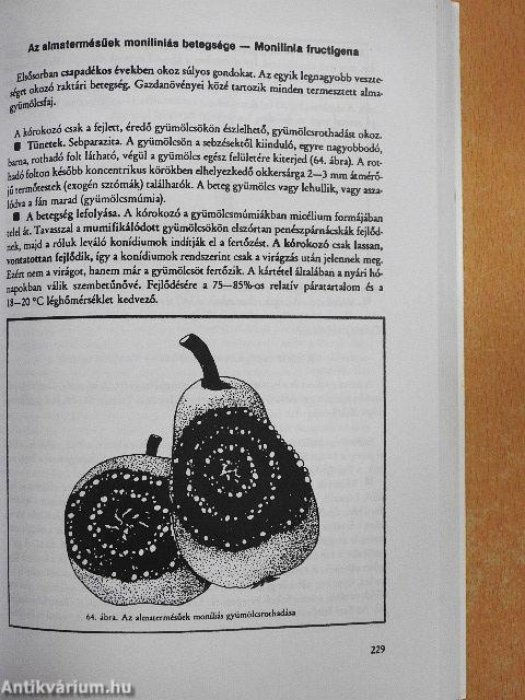 Kertészeti növények termesztése és növényvédelme I.