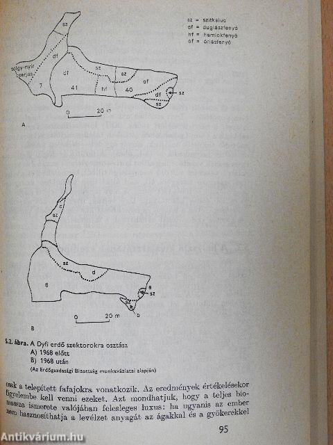 A növényzet termelőképessége