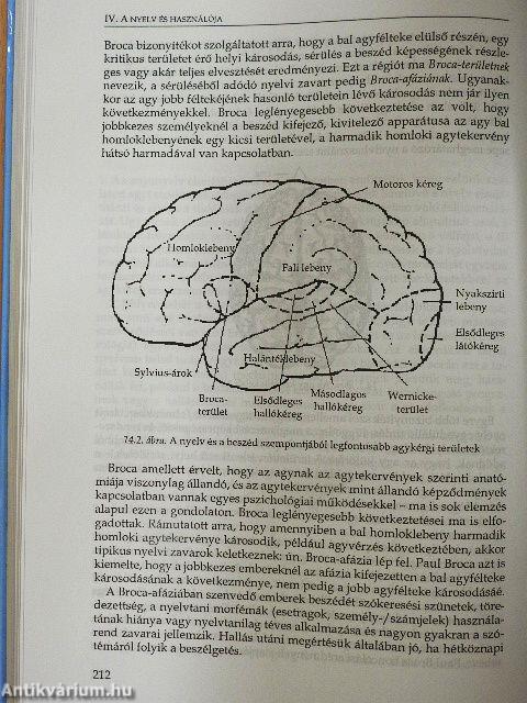 A nyelv és a nyelvek