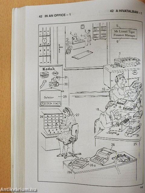 Képes brit és amerikai angol-magyar szótár