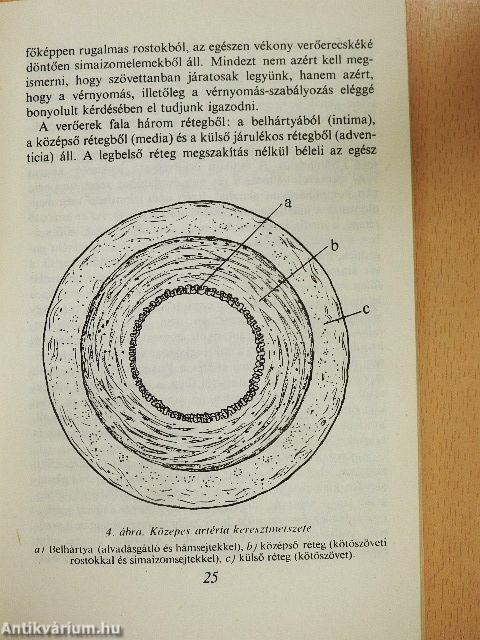 Magas a vérnyomása?
